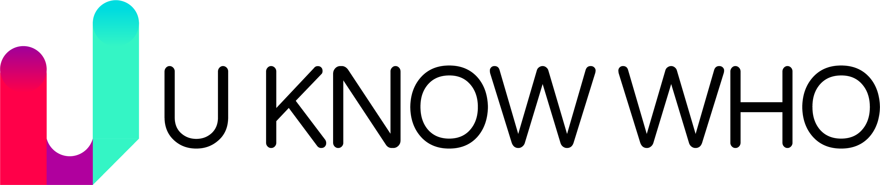 FULLd2Asset 9logo black